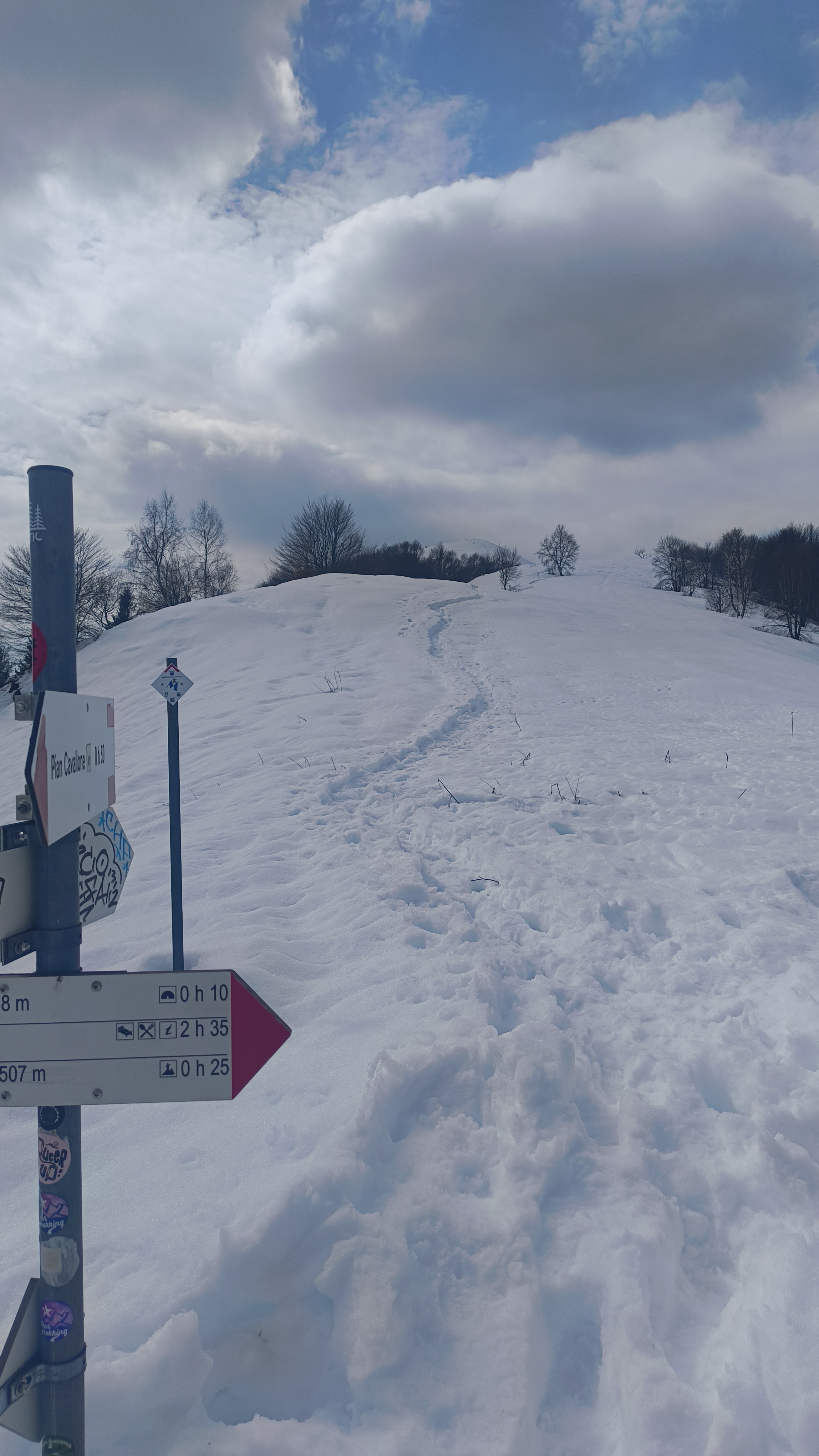 Foto n° 6 del trekking Bivacco del Gufo - Pizzo Pernice │ Alpe Curgei